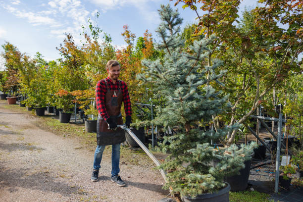 Best Lawn Maintenance Plans  in Bryan, OH